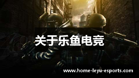 关于乐鱼电竞